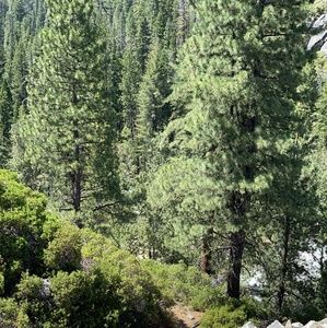 Meet your Posher, Angelos